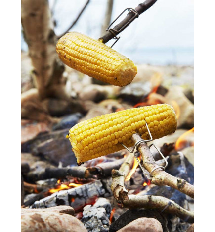 Broches de barbecue