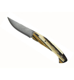 Couteau avec manche en ivoire de mammouth de 12cm