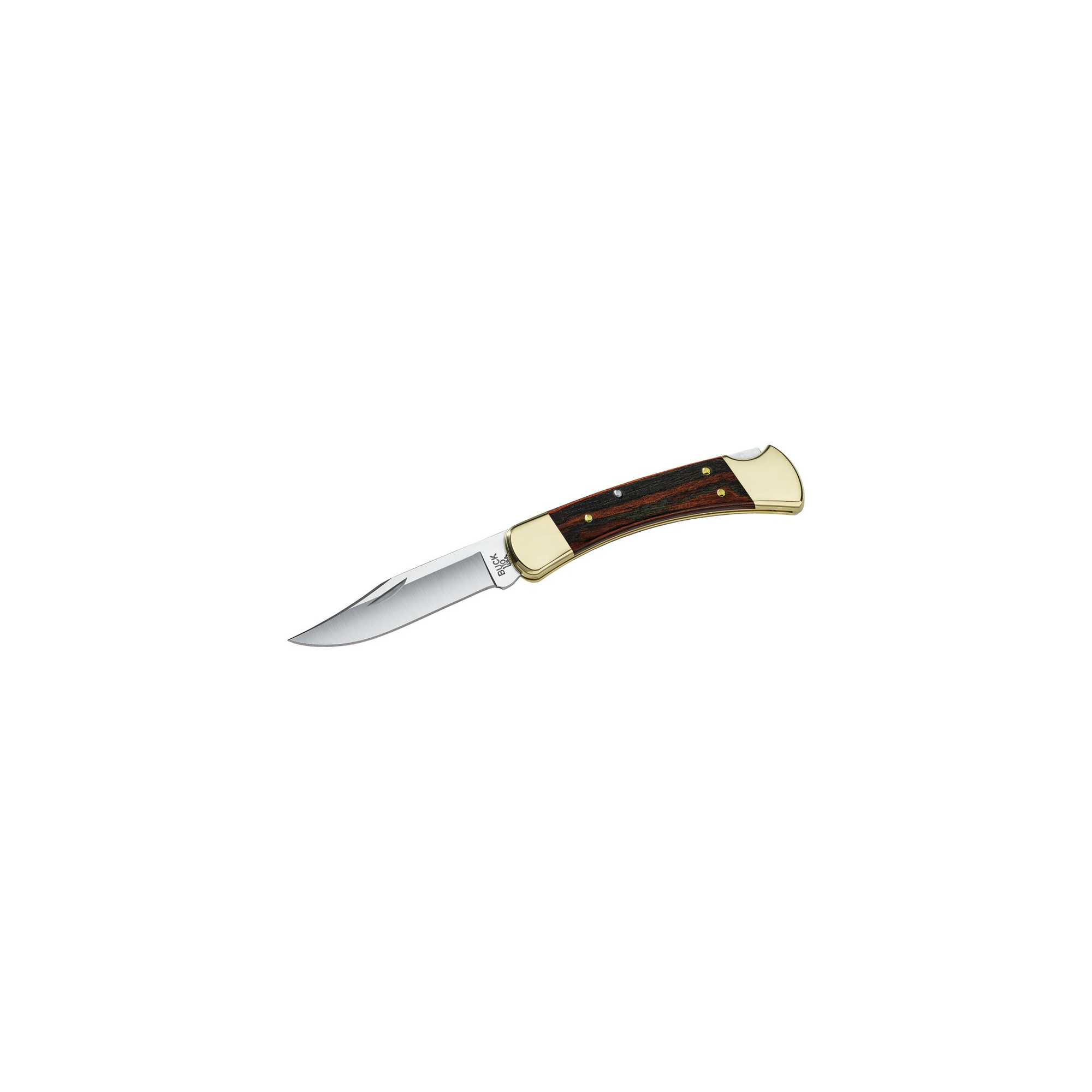 Couteau Buck Hunter 0110BRS avec lame de 9.5cm