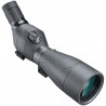 Lunettes terrestres Bushnell Engage 20-60x 80