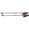 Bâtons Carbon C2 Ultralight