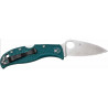Spyderco Leaf Jumper knife with teeth and clip