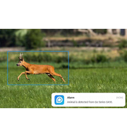 Go G450 Security Camera