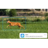 Go G450 Security Camera