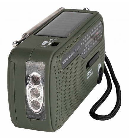 Radio de Supervivencia Solar y Dinamo