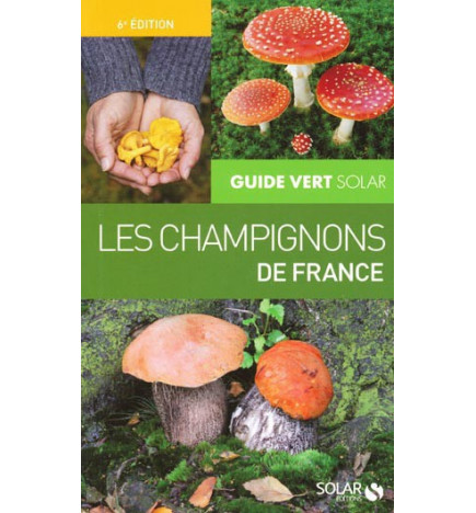 Les champignons de France