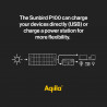 Panneau solaire Sunbird P100