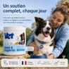 Vetlabs alimenti per cani