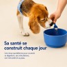 Vetlabs, alimentos para perros