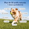 Vetlabs dog food