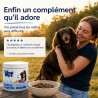 Vetlabs dog food
