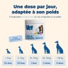 Vetlabs Hundefutter