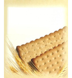 Crackers de survie salés (4x2)