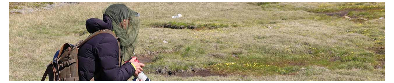 Vestiti ed accessori