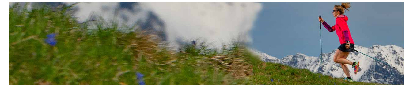 Nordic walking poles - inuka