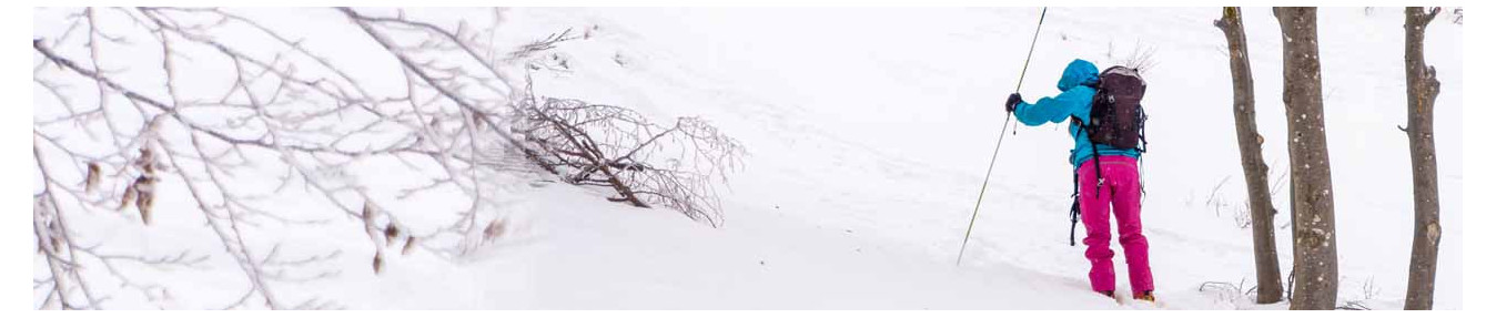 Sonda de nieve para avalanchas