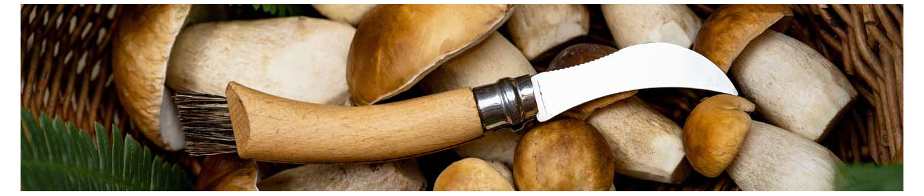 Mushroom knives